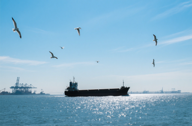 上海貨運代理公司：服裝進口的 “通關密鑰” 與 “物流導師”