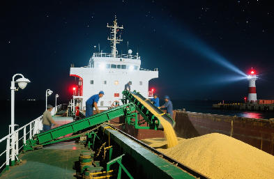 國際貨運代理：海運 / 空運 / 陸運全航線，訂艙到派送一站搞定